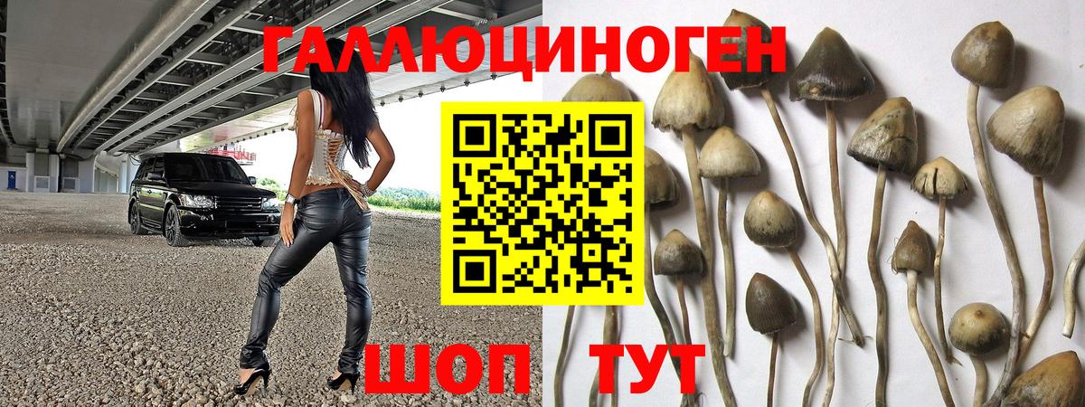Мурино  Псилоцибиновые грибы MAGIC MUSHROOMS  Вход с VPN 